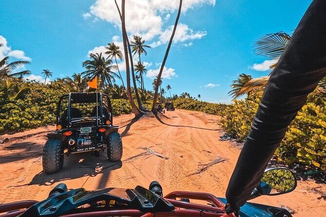 Piñones Beach Buggy + El Yunque Waterfall Adventure - Meet your guide: the ride becomes a story