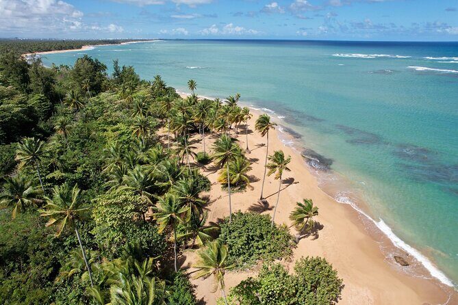 PR Chinchorreo-Beach and Bar Hopping Tour - Key highlights you’ll care about