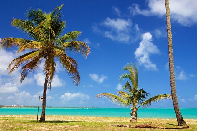 PR Chinchorreo-Beach and Bar Hopping Tour - Pako Pepe, Patillas, and Humacao: what “bar hopping” actually means here