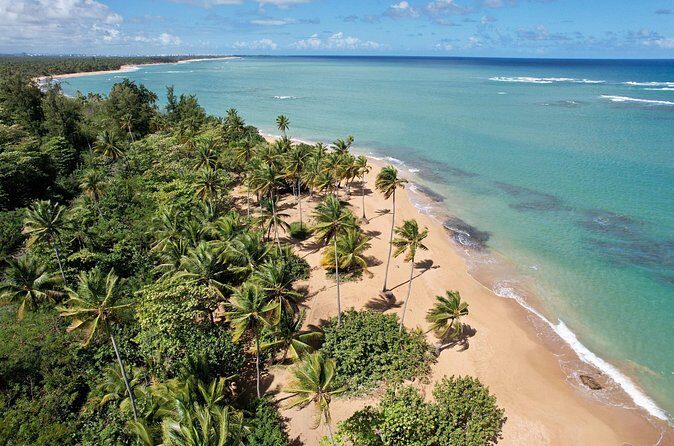 PR Chinchorreo-Beach and Bar Hopping Tour - Maunabo’s black sand beach stop: great to see, not for swimming