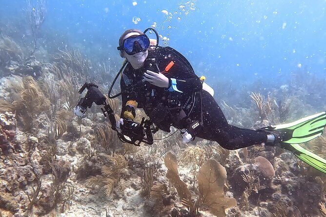 Private 2-Tank Dive with PADI Instructor for Certified Divers - Key highlights you’ll care about