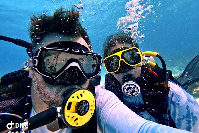 Private 2-Tank Dive with PADI Instructor for Certified Divers - A tight half-day plan that starts and ends at Renaissance Villa Marina