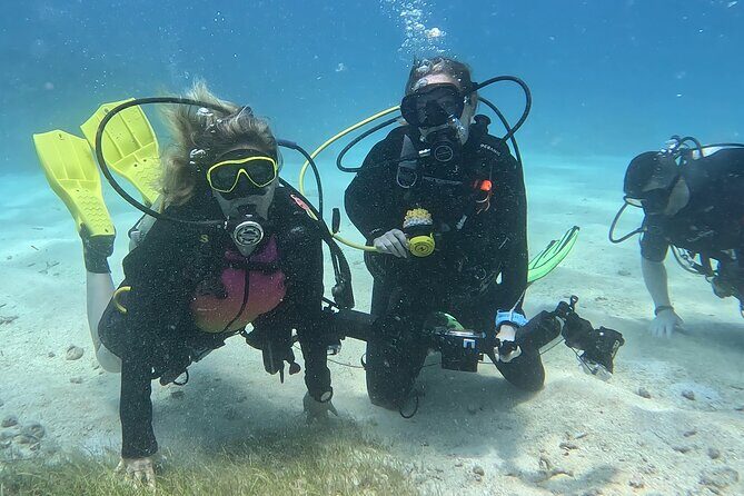 Private 2-Tank Dive with PADI Instructor for Certified Divers - Gear and costs: what’s included, what costs extra