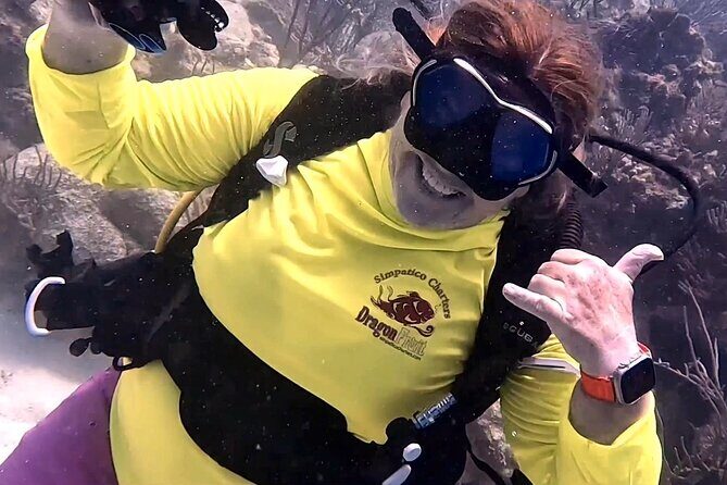 Private 2-Tank Dive with PADI Instructor for Certified Divers - Weather and reef conditions: plan for a day that depends on the sea
