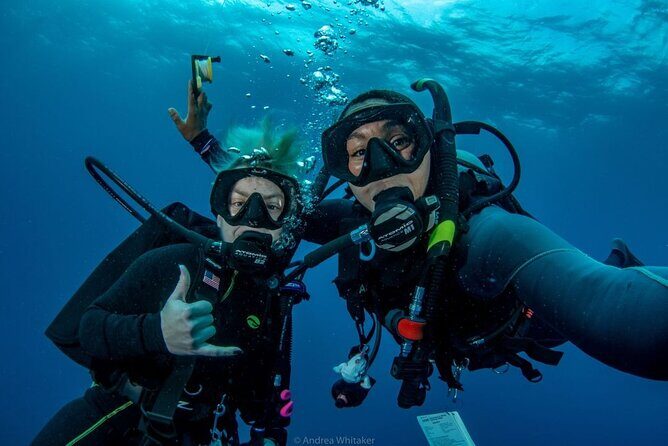 Private 2-Tank Dive with PADI Instructor for Certified Divers - Two reef stops with depths that usually sit around 40 feet