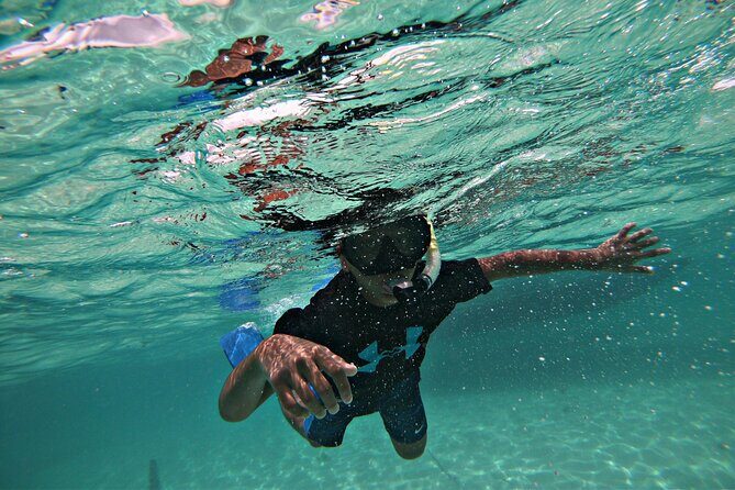 Private All-Inclusive 22ft Boat Guided Snorkeling Icacos Palomino - Stop 2: Isla Palominos for beach time that feels private