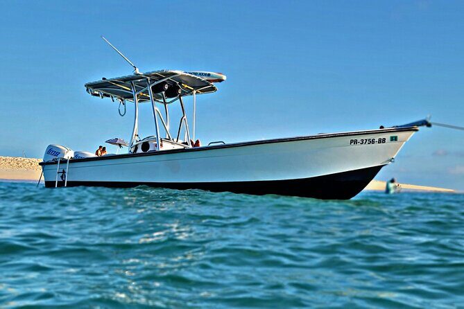 Private All-Inclusive 22ft Boat Guided Snorkeling Icacos Palomino - Snorkeling for beginners: gear, life jackets, and real coaching