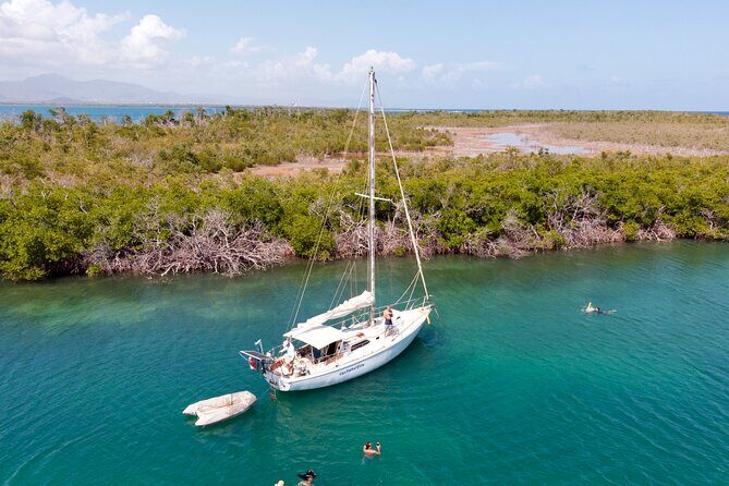 Private Day Sail - South Coast of Puerto Rico - Jobos Bay Reserve: Protected Wetlands and What to Watch For