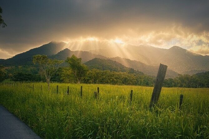 Private El Yunque Half-Day Tour with Transport - What’s included (and why those add up)