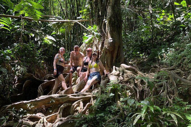 Private El Yunque Rainforest Day Tour with Transport - San Juan Pickup and the Air-Conditioned Comfort Factor