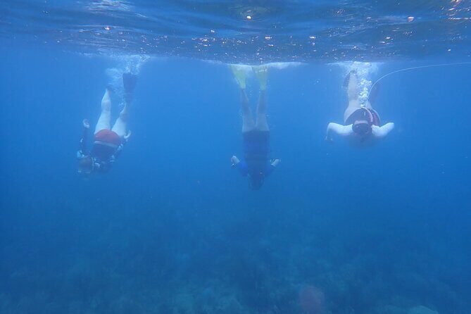 Private Rincon Snorkeling Adventure - Guide experience and one logistics thing I’d watch