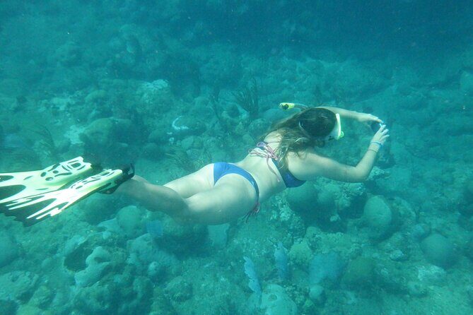Private Rincon Snorkeling Adventure - Should you book this private Rincon snorkeling adventure?