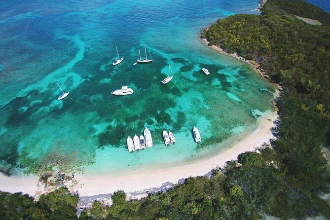 Public or Private Boat Trip to Icacos & Palomino - Key highlights to know before you go