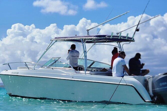 Public or Private Boat Trip to Icacos & Palomino - Who this tour is best for (and the people it may not fit)