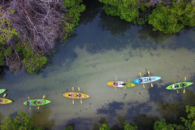 Puerto Rico Bio Bay Kayak Adventure Tour - Double kayak pairing: comfortable by design, still a team sport