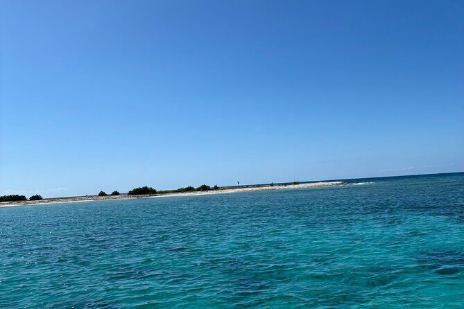 Puerto Rico: Bio Bay Swim and Sunset Charter or Late night tour - Key highlights at a glance