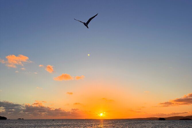 Puerto Rico: Bio Bay Swim and Sunset Charter or Late night tour - What’s Included (and What You Need to Bring)