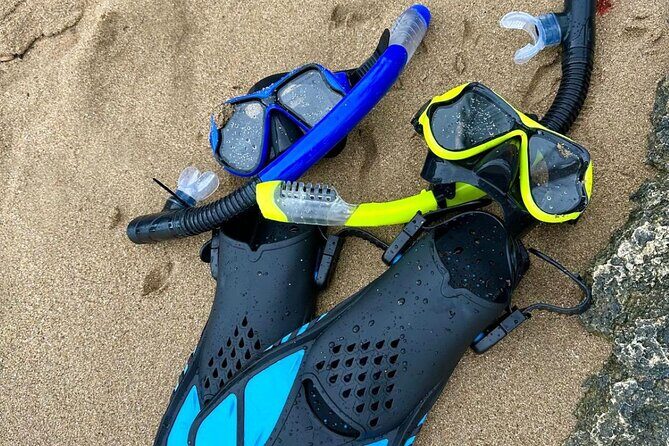 Puerto Rico: Crash Boat UTV Experience with Snorkel Gear - Survival Beach (Playa Survival): quick tide-pool time and raw coastline views