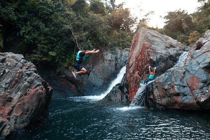 Puerto Rico El Yunque Rainforest with Transportation - Key Things That Make This El Yunque Tour Special
