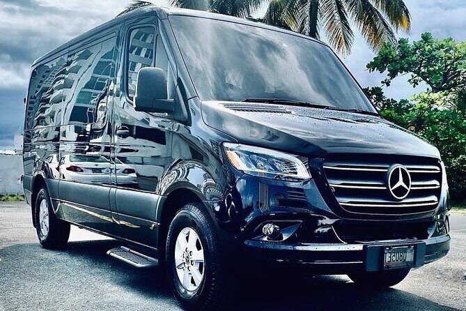 Puerto Rico Island Wide Private Transfers, 11Pax Lux Sprinter Van - Meeting Your Chauffeur: Baggage Claim to Leather Seats