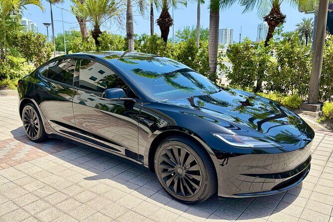 Puerto Rico Island Wide Private Transfers, Tesla 3 Luxury Sedan. - Key things I’d pay attention to