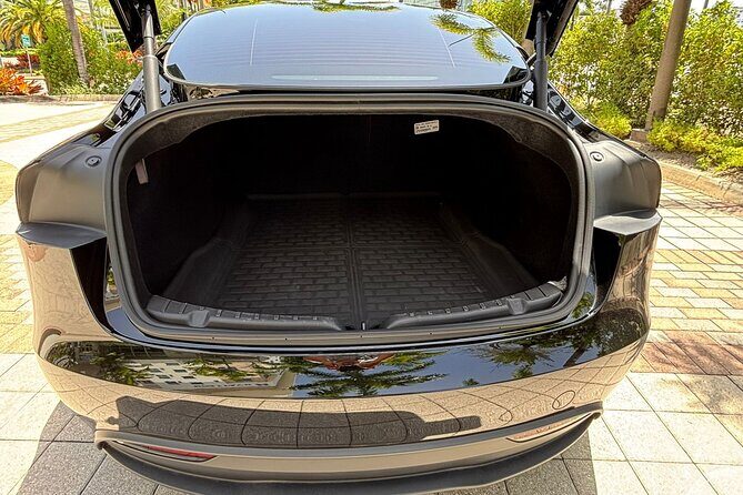 Puerto Rico Island Wide Private Transfers, Tesla 3 Luxury Sedan. - Who should book this private Tesla transfer