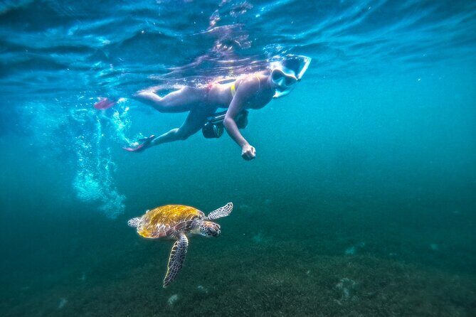 Puerto Rico Jet Snorkel with Turtles and Videos in San Juan - Getting Oriented at Batería del Escambrón (Escambrón Beach)