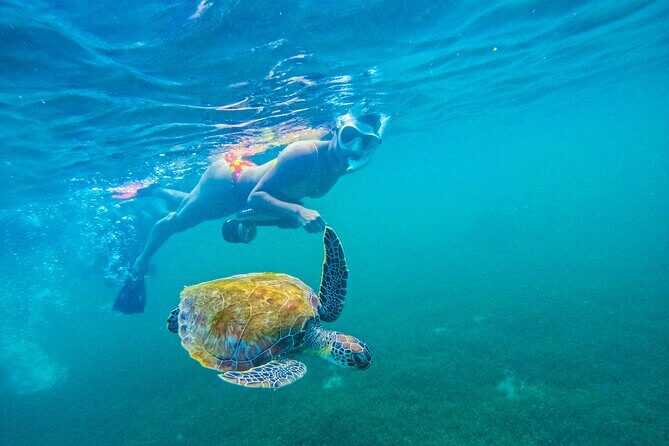 Puerto Rico Jet Snorkel with Turtles and Videos in San Juan - Balneario El Escambrón: Safety Briefing, Gear Fitting, Then Turtle Time