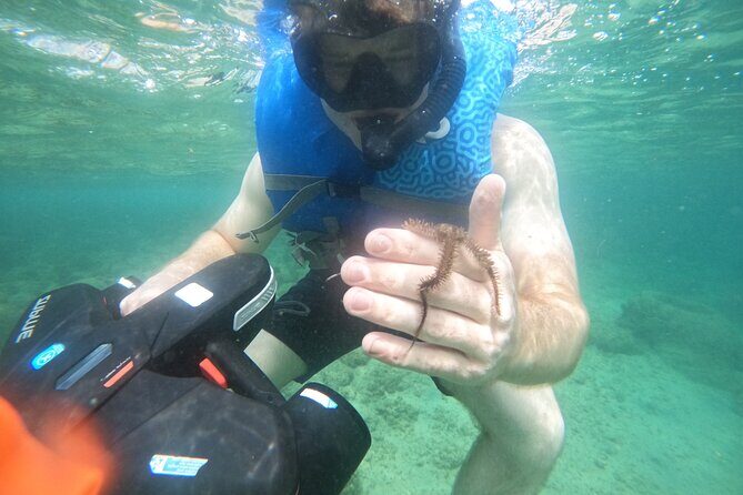 Puerto Rico Jet Snorkel with Turtles and Videos in San Juan - Photos and Videos: The Convenience Factor You’ll Appreciate Later
