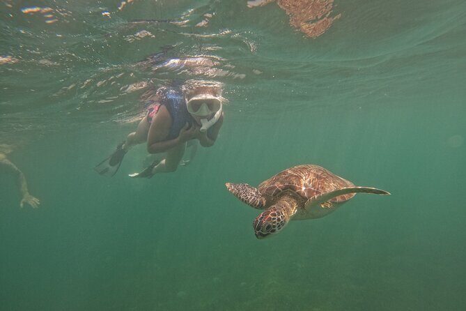 Puerto Rico Jet Snorkel with Turtles and Videos in San Juan - Guides Make or Break It: Juan, V, Samuel, Chad, and More