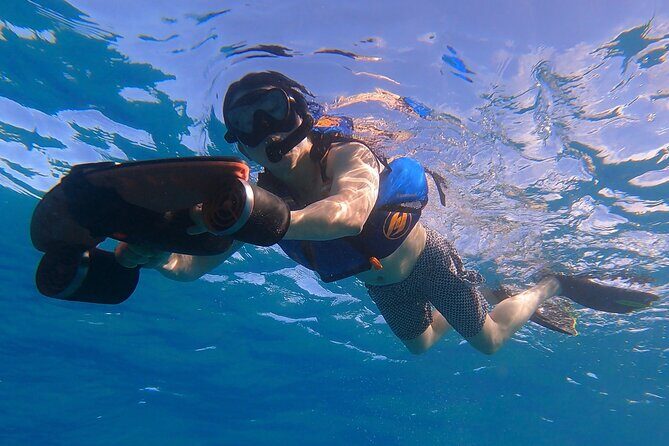 Puerto Rico Jet Snorkel with Turtles and Videos in San Juan - Choppy Water, Sargassum, and Visibility: How to Think About the Risks