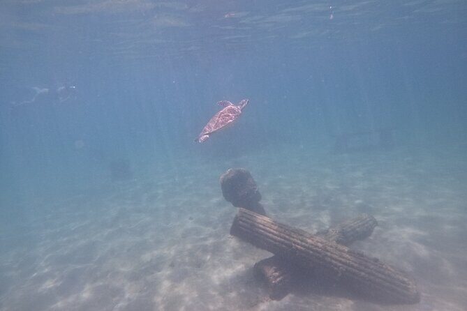Puerto Rico Jet Snorkel with Turtles and Videos in San Juan - Value for $99: What You’re Paying For (and What You’re Getting)