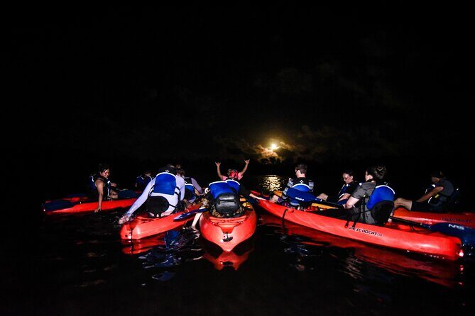 Puerto Rico Sunset Magic: Bio Bay Kayaking Tour from Fajardo - Fajardo Sunset Timing and Why Laguna Grande Matters