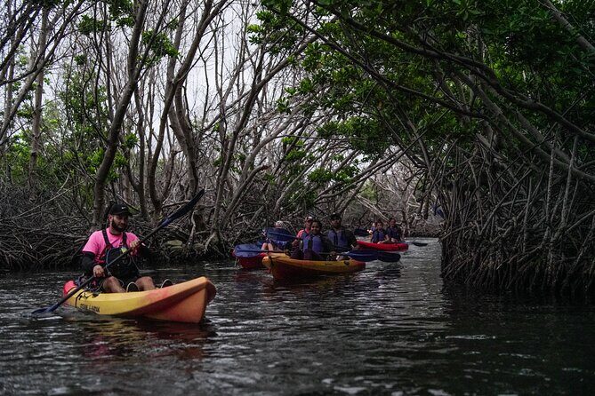 Puerto Rico Sunset Magic: Bio Bay Kayaking Tour from Fajardo - Marine Biologist Guides: What You Learn on the Water