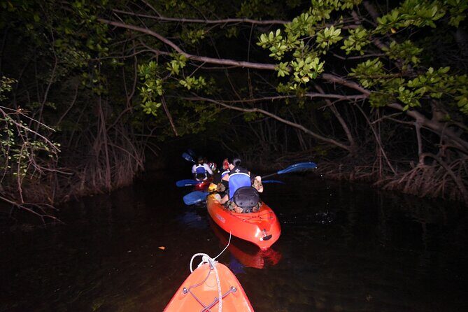 Puerto Rico Sunset Magic: Bio Bay Kayaking Tour from Fajardo - What the Mangrove Canal Segment Feels Like