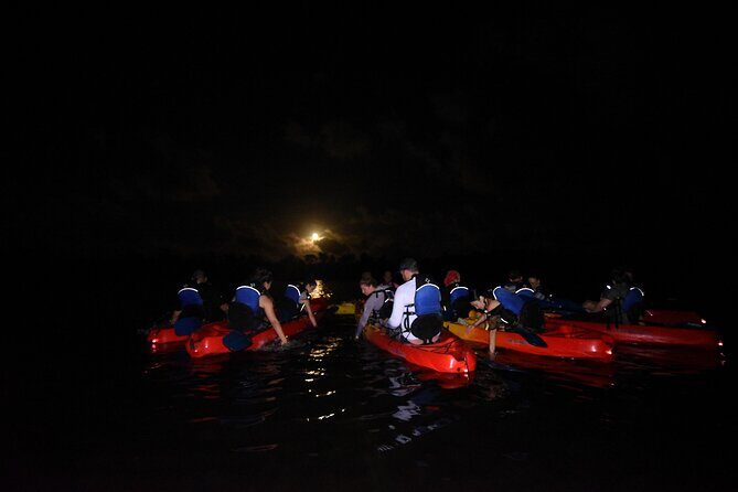 Puerto Rico Sunset Magic: Bio Bay Kayaking Tour from Fajardo - The Tarp and Light Pollution: How They Save the Show
