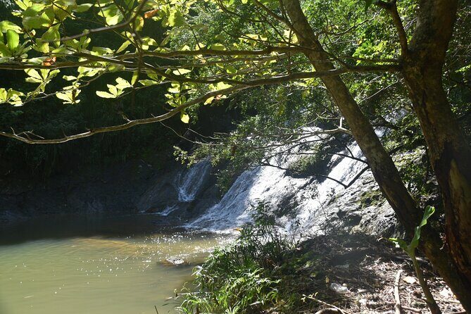 Puerto Rico Waterfall Hiking Tour: Discover Hidden Gems 2.0 - Puerto Rico Waterfall Hiking Tour 2.0: What the Day Actually Feels Like