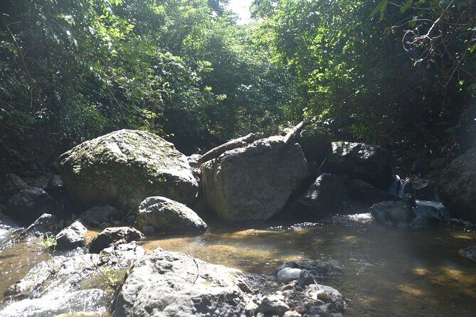 Puerto Rico Waterfall Hiking Tour: Discover Hidden Gems 2.0 - Swimming at the Base: When Towels and Wet Shoes Become Your Best Friends