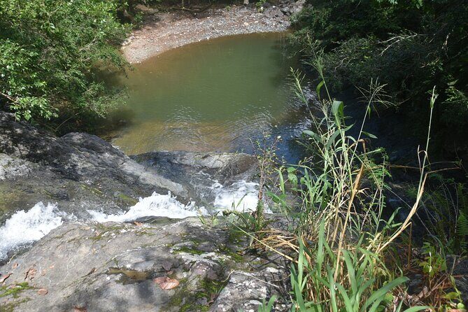 Puerto Rico Waterfall Hiking Tour: Discover Hidden Gems 2.0 - Local Food Stop After the Falls: What You Can Expect to Pay