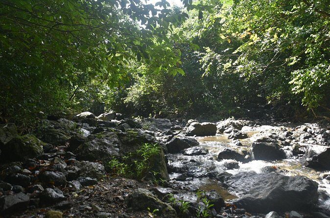 Puerto Rico Waterfall Hiking Tour: Discover Hidden Gems 2.0 - Small-Group Safety and Guide Energy: Manuel, Jesus, Jerry, Isaac