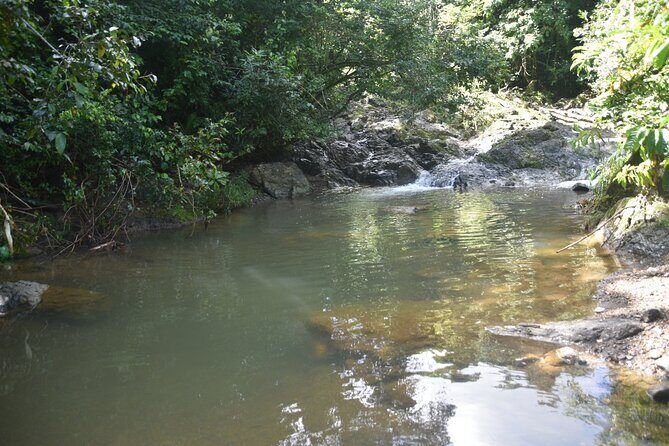 Puerto Rico Waterfall Hiking Tour: Discover Hidden Gems 2.0 - Who This Tour Suits Best (And Who Might Feel Miserable)