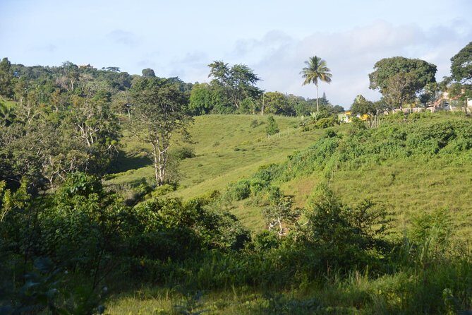 Puerto Rico Waterfall Hiking Tour: Discover Hidden Gems 2.0 - The Hike to the 130-Foot Waterfall: Fitness Level and Trail Reality