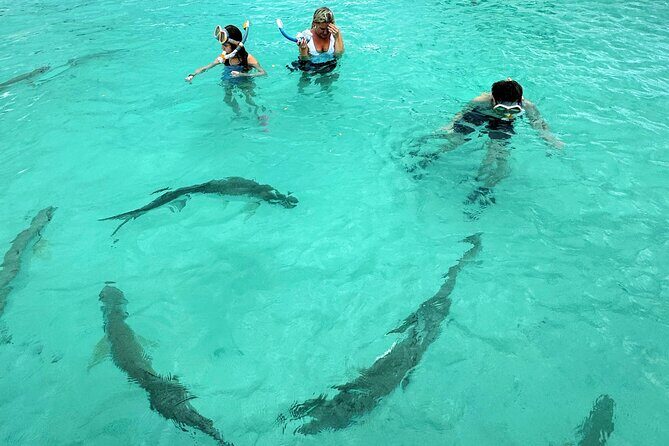Puerto Rico's Only Private, VIP & Filmed Bio Bay Swim Experience - Stop 2: Papayo Cove Bio Bay at night