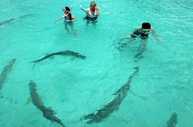 Puerto Rico's Only Private, VIP & Filmed Bio Bay Swim Experience - The filmed part: getting your glow moment on video