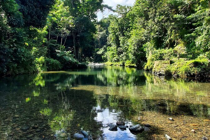 Rainforest and Junglequi Zipline Combo Tour - From Marriott Pickup to Junglequi Park: The Day’s Game Plan