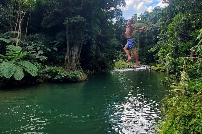 Rainforest and Junglequi Zipline Combo Tour - Who This Tour Fits Best (and When to Choose a Different Plan)