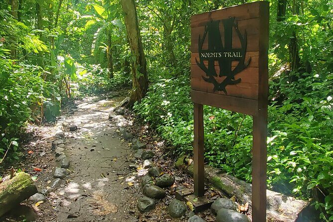 Rainforest and Junglequi Zipline Combo Tour - Should You Book This Rainforest and Junglequi Zipline Combo Tour?