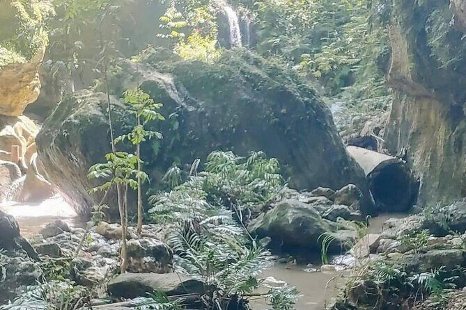 Rainforest Caves and Waterfalls Exploration with Transportation - Rainforest caves hike: lights, life jackets, and real rock movement