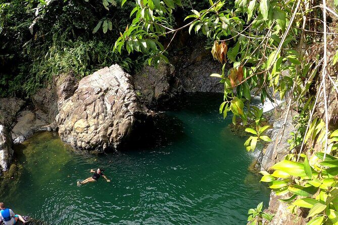 Rainforest Nature Walk & Luquillo Beach Combo - Key things to notice before you go