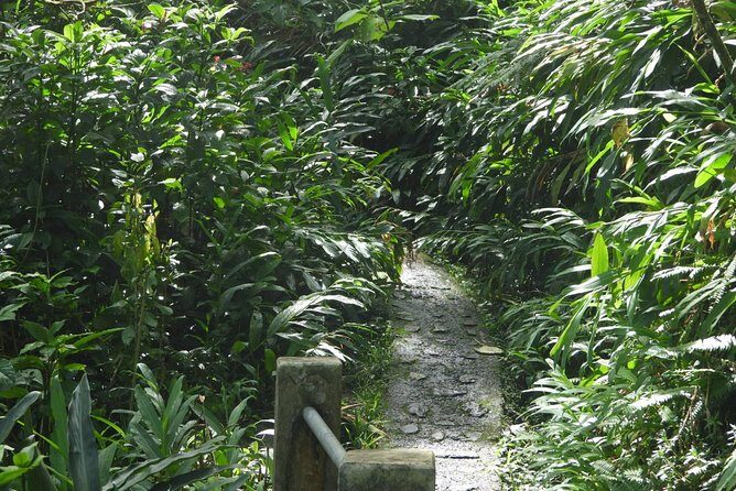 Rainforest Nature Walk & Luquillo Beach Combo - From San Juan to two worlds in one day